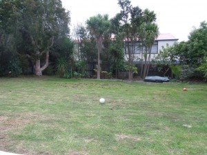 May 10 - Back Garden