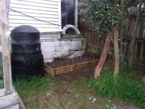 New Plot Beside The Dalek