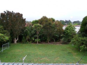 Nov 09 Back Garden From Deck